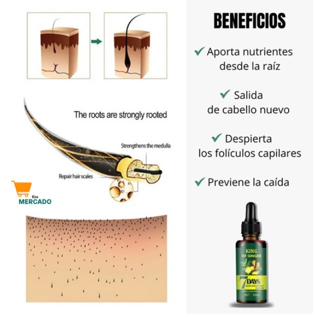 7 Days- Tónico Jengibre para Cabello💆‍♀️✨🪮☝️
