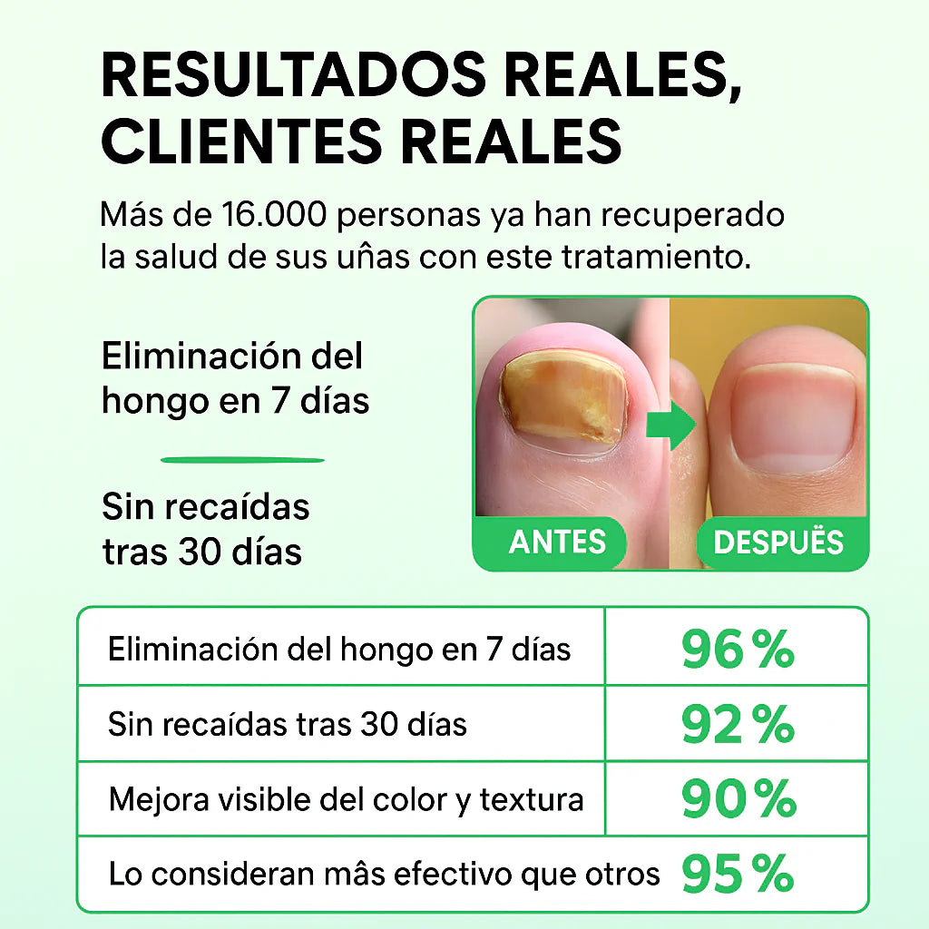 Encabezado