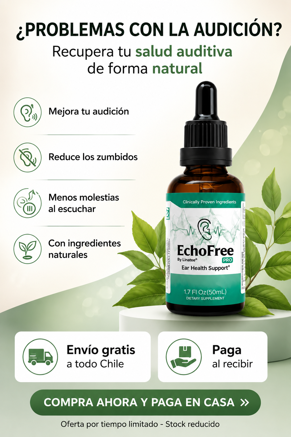 Encabezado