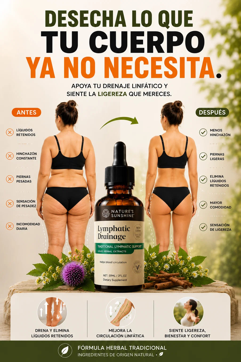 Encabezado