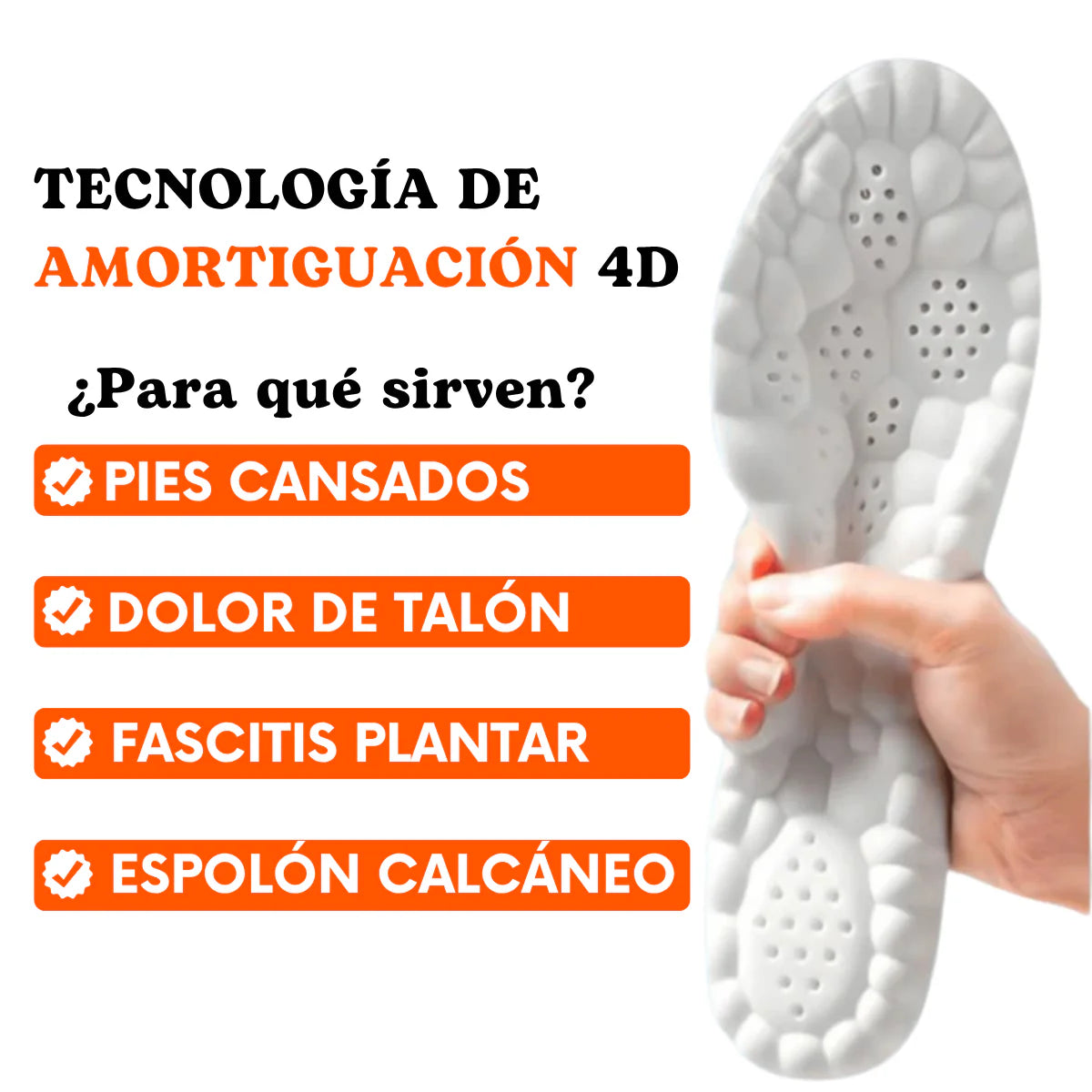 Encabezado