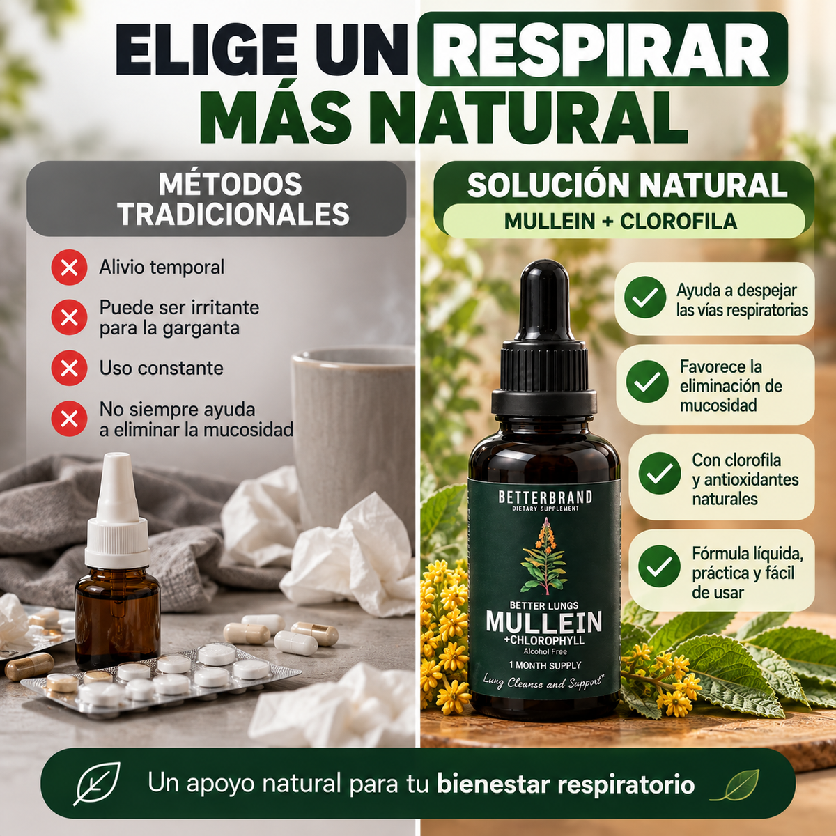 Mullein Air™ |Gotas Naturales para el Bienestar Respiratorio
