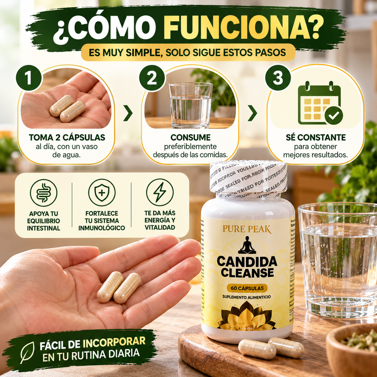Candida Cleanse –  Apoya tu Digestión, 7 Días para Desinflamar tu Abdomen