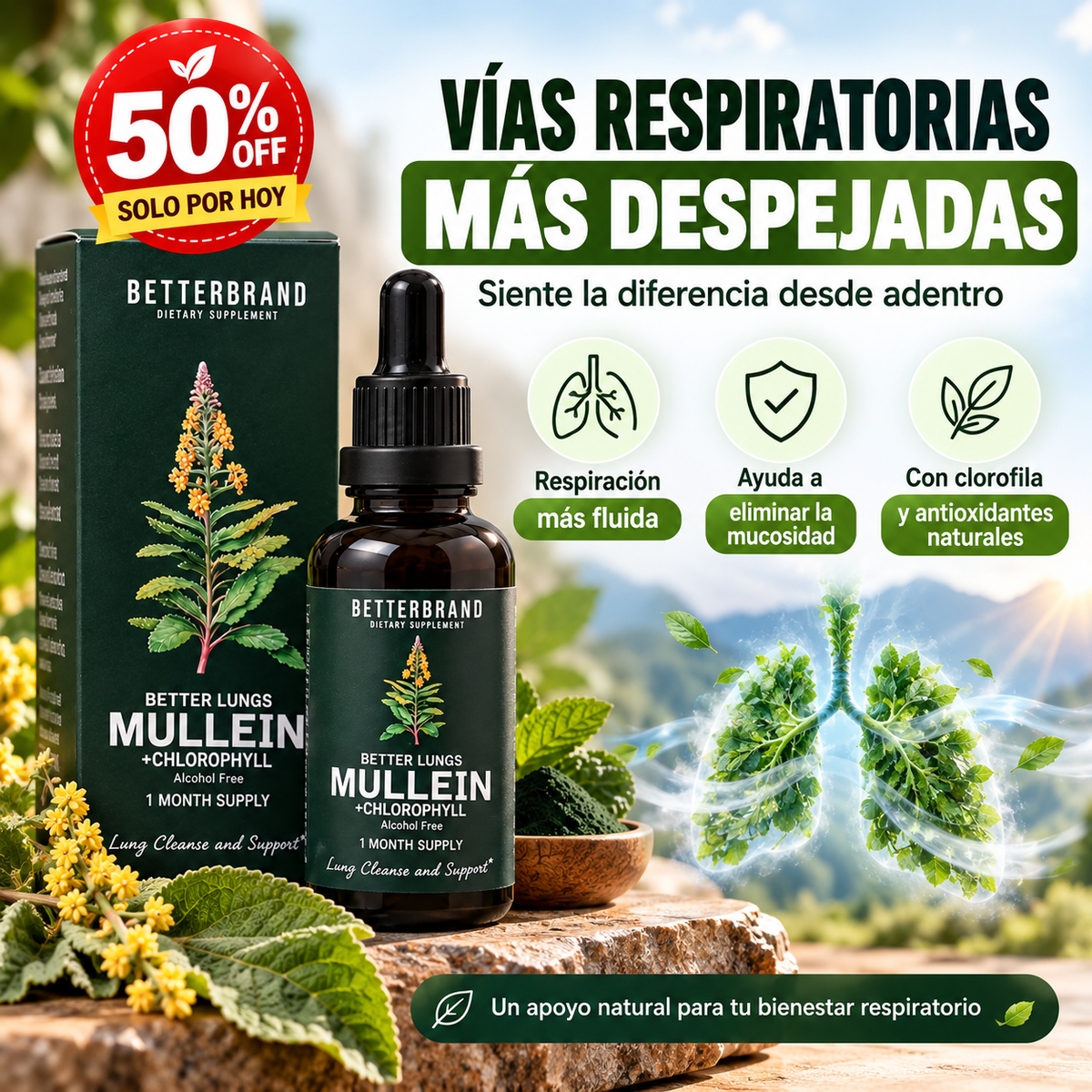 Mullein Air™ |Gotas Naturales para el Bienestar Respiratorio
