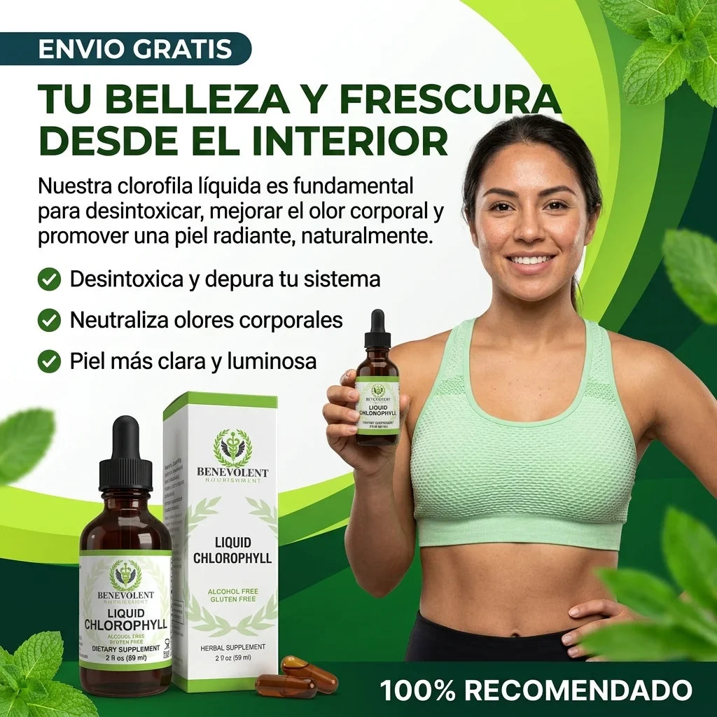 Encabezado